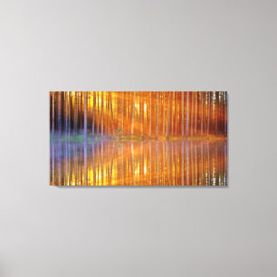 Söt Woodland Sunset Golden Reflection Geometric Canvastryck