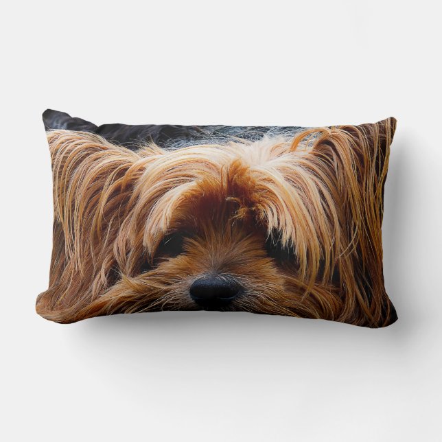 Söt Yorkshire Terrier Hund Lumbarkudde (Framsida)