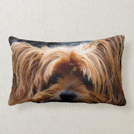 Söt Yorkshire Terrier Hund Lumbarkudde