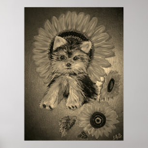 Söt Yorkshire Terrier med solrosor Poster