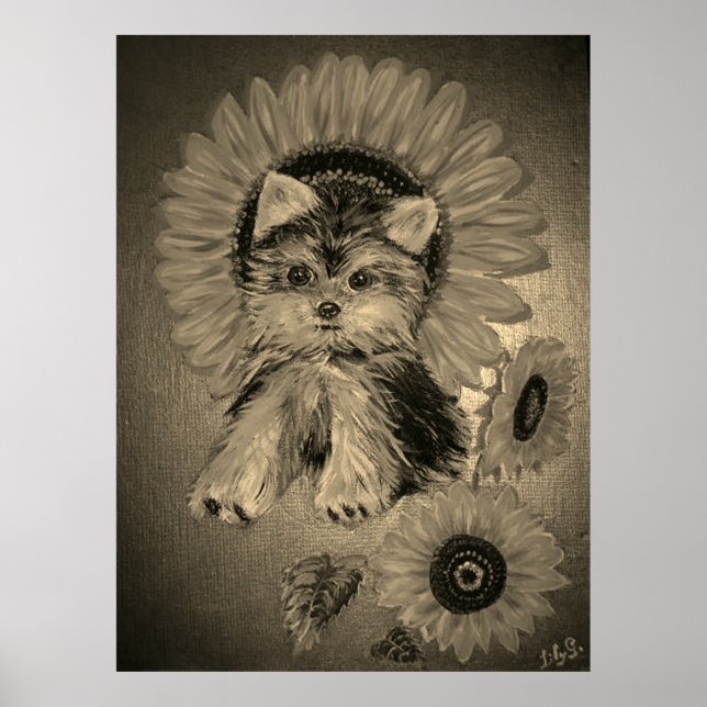 Söt Yorkshire Terrier med solrosor Poster (Framsidan)