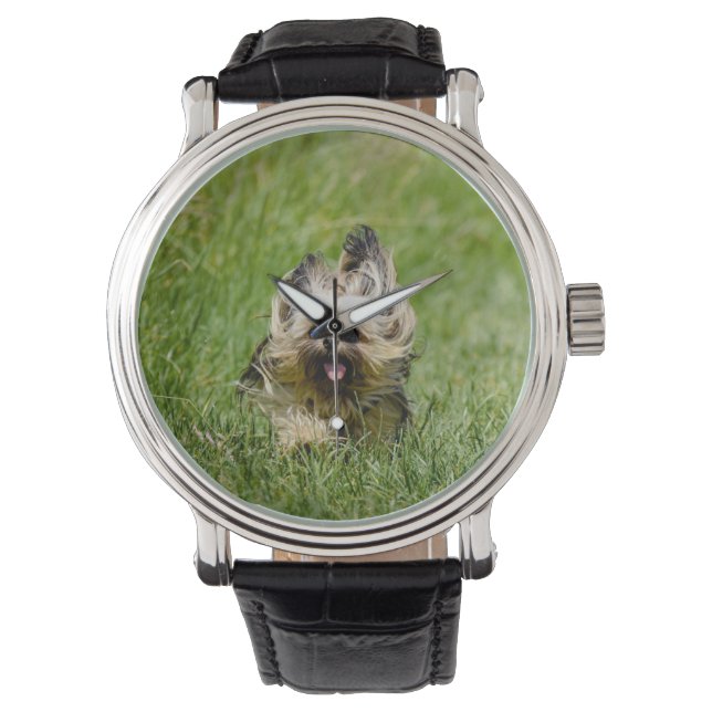Söt Yorkshire Terrier som springer genom gräs Armbandsur (Framsida)