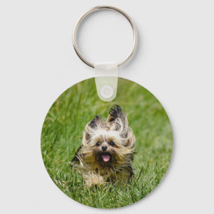 Söt Yorkshire Terrier som springer genom gräs Nyckelring