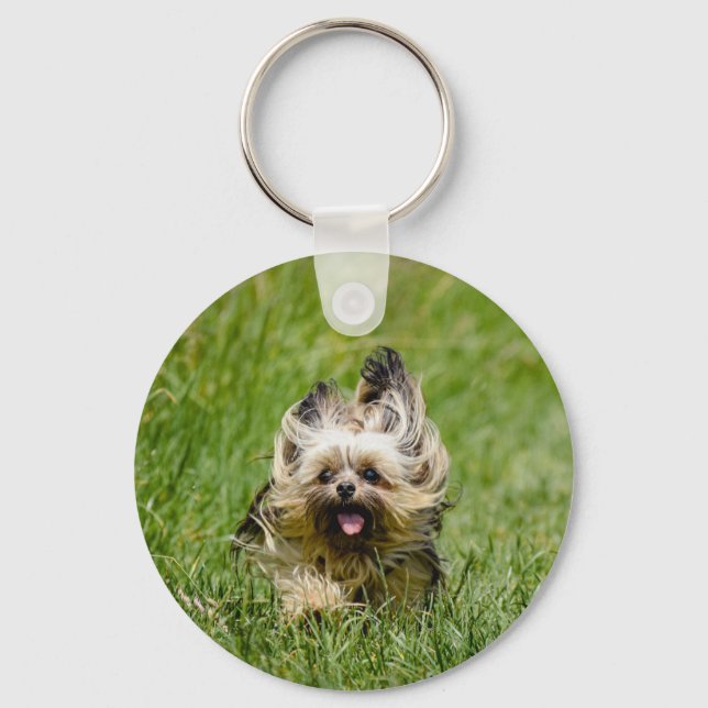 Söt Yorkshire Terrier som springer genom gräs Nyckelring (Framsida)
