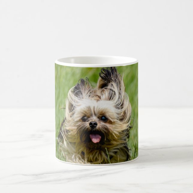 Söt Yorkshire Terrier som springer genom gräset Kaffemugg (Center)