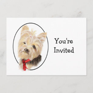 Söt Yorkshire Terrier Yorkie Bröllopsjubileum Inbjudningar