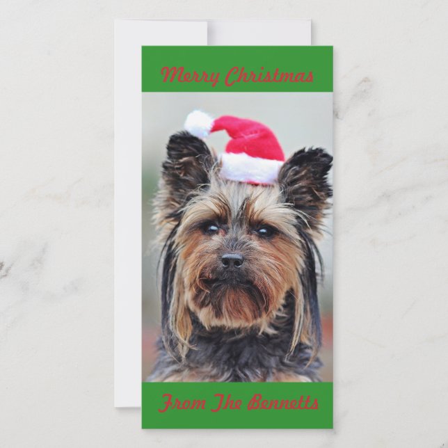 SÖT YORKSHIRETERRIER I TOMTEHUVA PLATT JULKORT (Framsida)