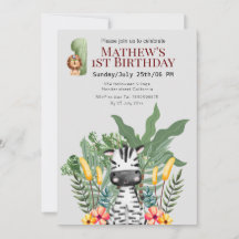 Söt zebra l Vilda djur l Safari 1:e födelsedag