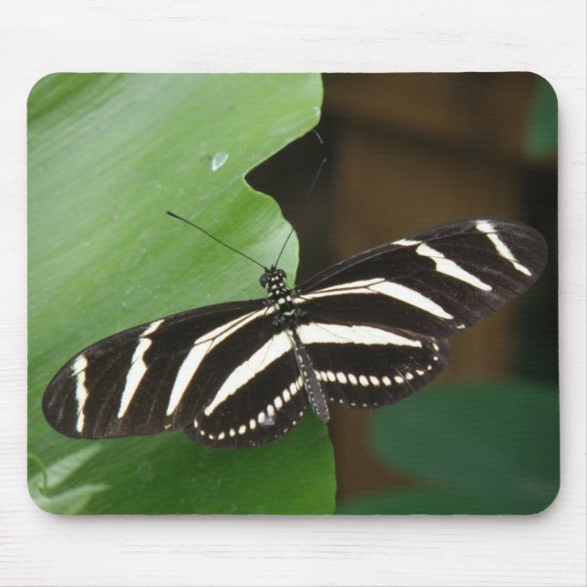 Söt Zebra Longwing Butterfly Mousepad Musmatta (Framsidan)