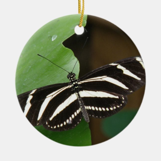 Söt Zebra Longwing Butterfly Ornament (Framsidan)
