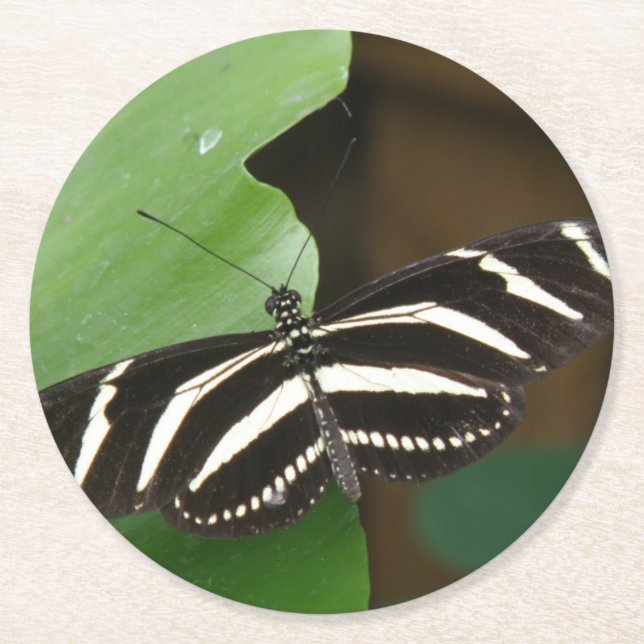 Söt Zebra Longwing Butterfly Papper Underlägg Rund (Framsidan)
