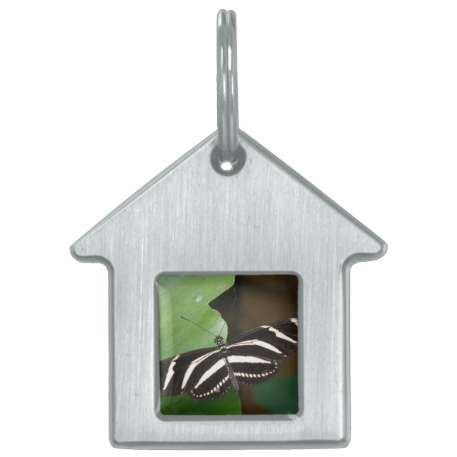 Söt Zebra Longwing Butterfly Pet Tag Namnbricka Husdjur (Framsidan)