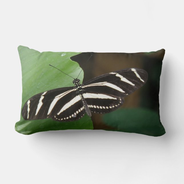 Söt Zebra Longwing Butterfly Pillow Lumbarkudde (Framsida)