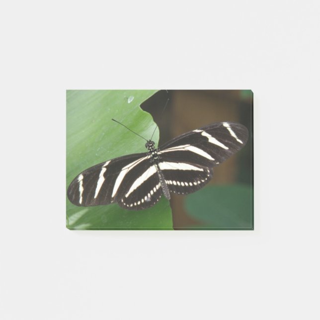 Söt Zebra Longwing Butterfly Post noterar det Post-it Block (Framsida)
