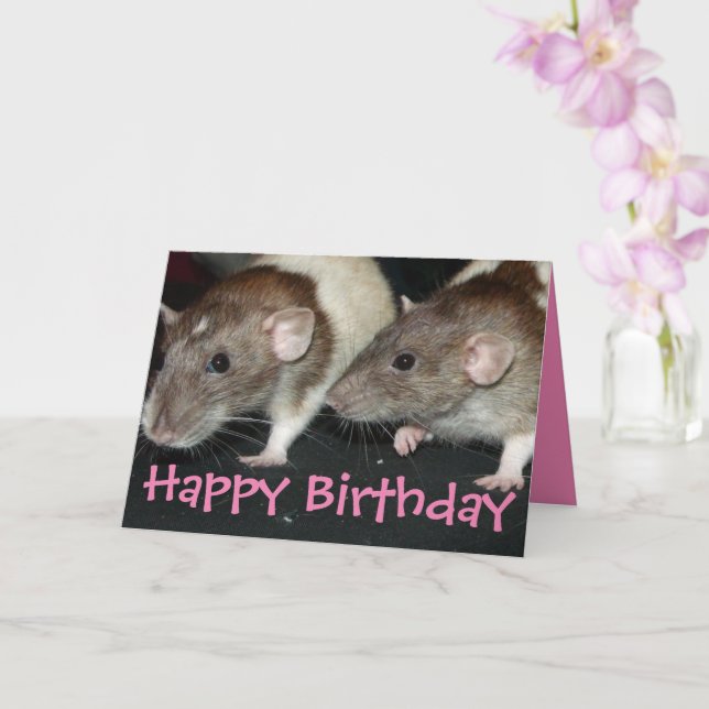 Söta agouti-hovade flicka råttor födelsedagskort kort (Orkide)