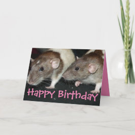 Söta agouti-hovade flicka råttor födelsedagskort kort