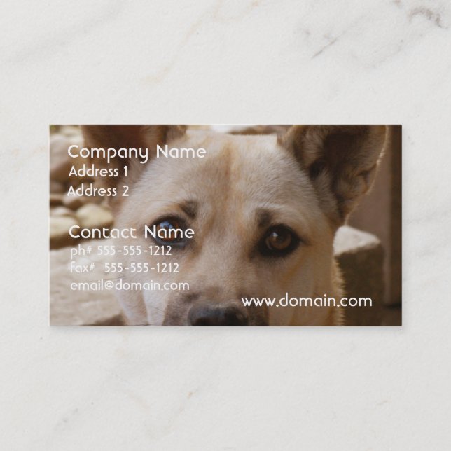 Söta Akita Visitkort (Framsida)