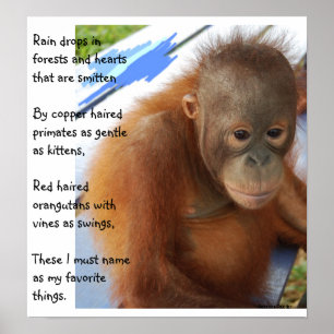 Söta animaliska favoriter poster