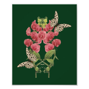 Söta ärtblommor och fjärilar 8 x 10 fototryck