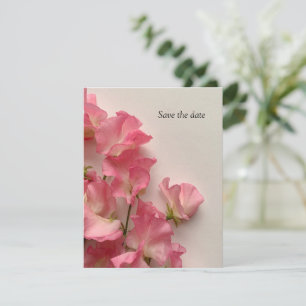 Söta ärter av vår i rosa spara datumet