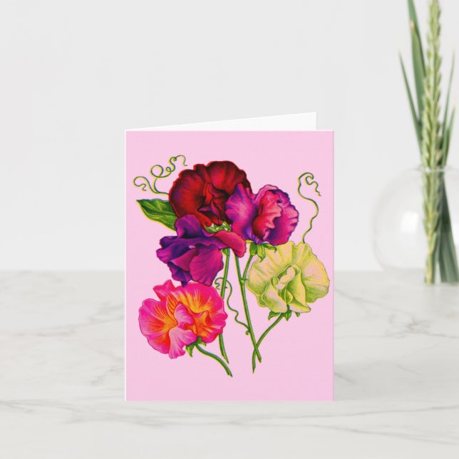 Söta ärter i lila och rosa anteckningskort (Framsida)