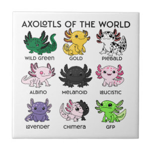 Söta Axolotler från Världen Kakelplatta