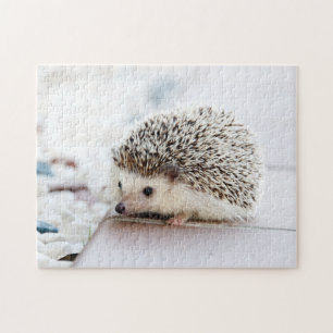 Söta Baby Hedgehog Pussel