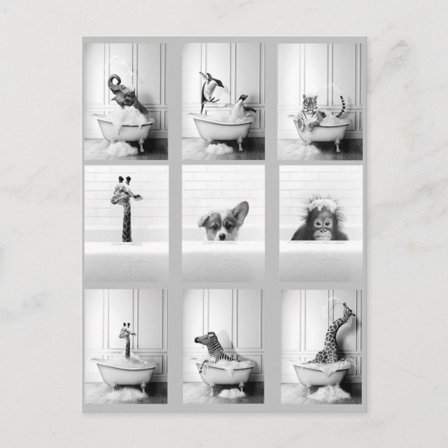 Söta badrumsdjur i badkar  vykort (Framsida)