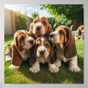 Söta Basset Hound-valpar Poster