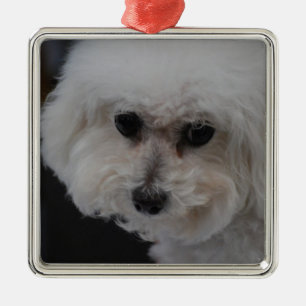 Söta Bichon Frise Julgransprydnad Metall