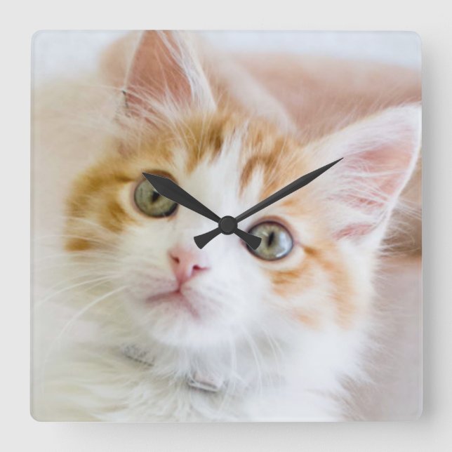 Söta blått synad kattunge fyrkantig klocka (Framsida)
