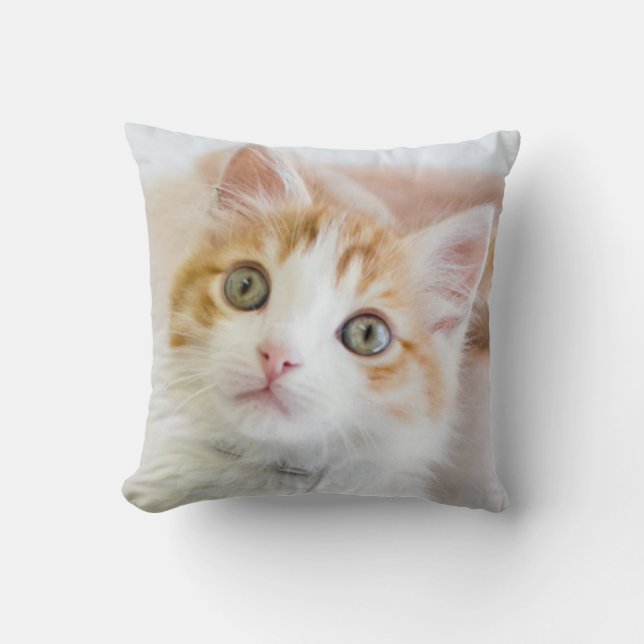 Söta blått synad kattunge kudde (Framsida)