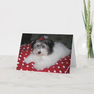 SÖTA BROOKLYN NOTERAR KORT