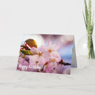 Söta Cherry-Blommar i Rosa Färg och Blå himmel Kort