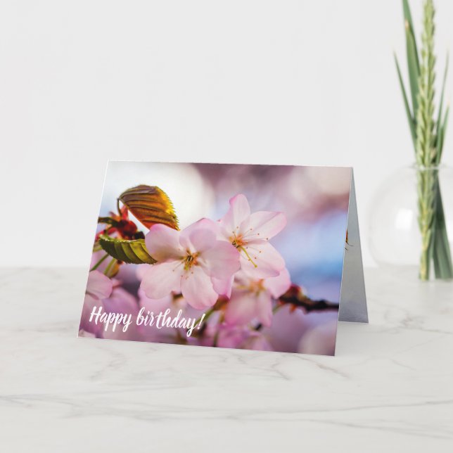 Söta Cherry-Blommar i Rosa Färg och Blå himmel Kort (Framsida)