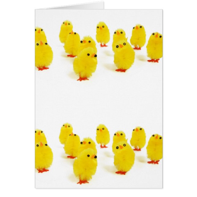 söta chickar hälsningskort (Framsidan)