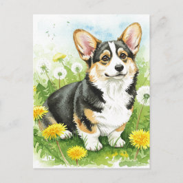 Söta Corgi Maskrosor Vår Postkort Vykort