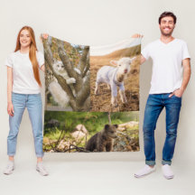söta djur fotot filt