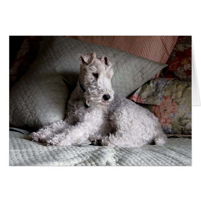 söta drömmar OBS kort (Framsidan Horizontal)