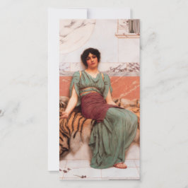 Söta drömmar (vackra romerska kvinnor på tigerskal kort