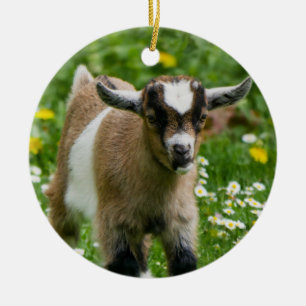 Söta Dwarf Goat Kid i blommor Julgransprydnad Keramik