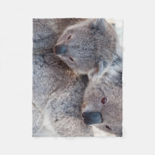 Söta Fluffiga Grå Koalor Fleecefilt