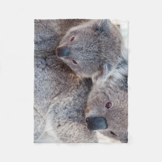 Söta Fluffiga Grå Koalor Fleecefilt (Framsidan)