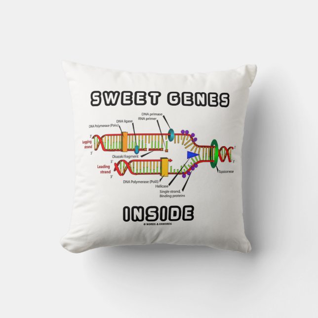 Söta gener inom DNA-replikering Humor Kudde (Framsida)