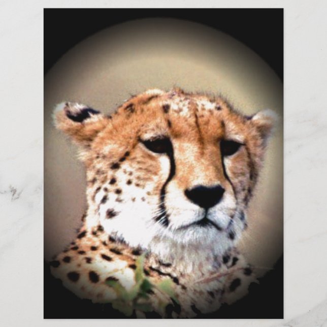 Söta Gepard Tårfläckar Hakunamatata (Framsida)