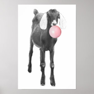 Söta Getter Svart Vitt Tuggummi Barnkammare Barn Poster