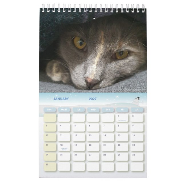 Söta grått-kattfoton 2025 kalender (Jan 2027)