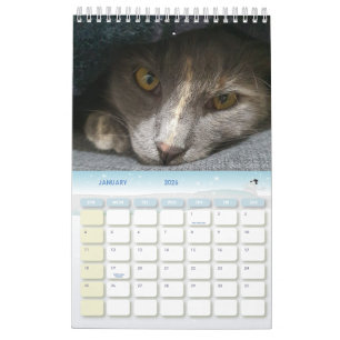 Söta grått-kattfoton 2025 kalender