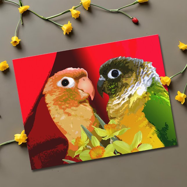 Söta grönkindsparakiter i kärlek papegoja vykort (Sweet green cheek conure couple valentine postcard)