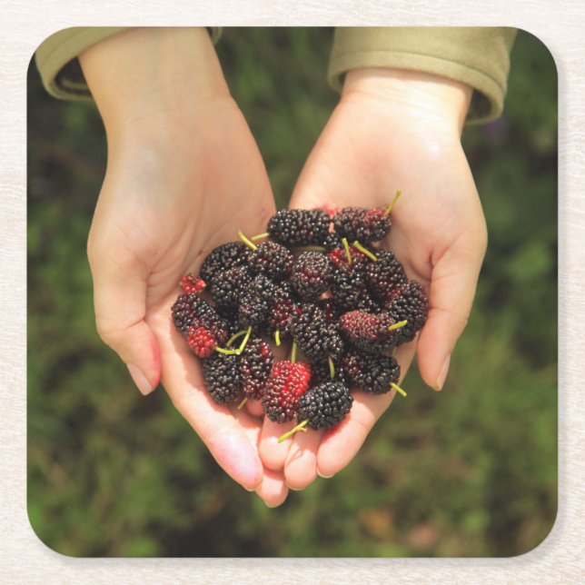 Söta handfullmullbärsträdbär som är nya och underlägg papper kvadrat (Framsidan)